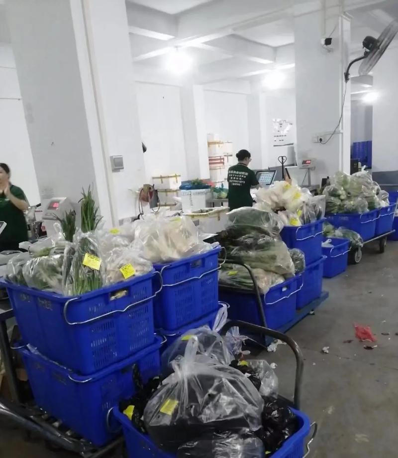 天猫代运营：电商时代的专业护航者